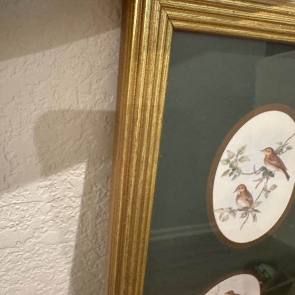 Unbranded Bird Prints Wall Decor with Beautiful Framed&Glass - Picture 5 of 9